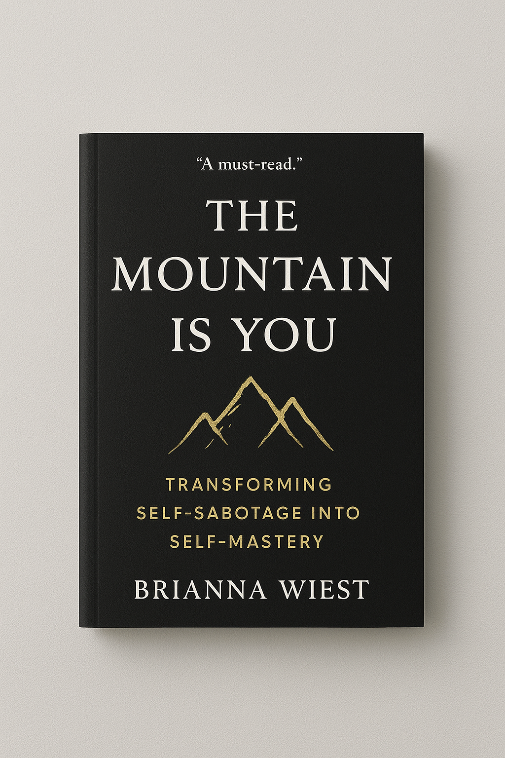 The Mountain Is You Buch